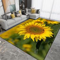 Rose Flowers Nordic Love Romantiškas kiliminis kilimas svetainės miegamojo namų dekoravimui, grindų kilimėlis, neslystantis sofos durų kilimėlio apdaila 60*90cm