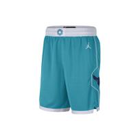 Jordan NBA spalvoti logotipiniai krepšinio šortai vyrams Mėlyni Žali CN8083-443 XXL