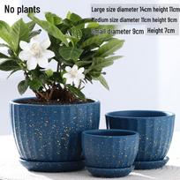 Didelis keramikinis gėlių vazonas su padėklu pothos, chlorofitams ir sukulentams Ceramic Large