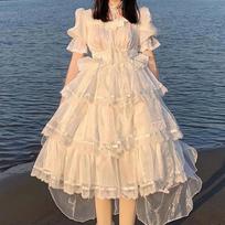 Mėlyna suaugusiųjų suknelė Didelė gėlė Vestuvinė Lolita suknelė Op Lolita Nuostabi Bėganti Pūkuota Uodega Princesės suknelė XXL balta