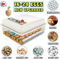 Atnaujintas automatinis buitinis 16–24 kiaušinių inkubatorius, skirtas povų ančių žąsų kiaušinių putpelių vištų inkubatoriams. US Plug-16 eggs balta