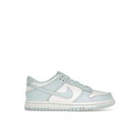 Nike Dunk Low GS Ledo Mėlynumo Vaikams Sportbačiai Balti FB9109-105 35.5