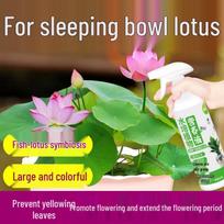 Mitybos tirpalas lotosams ir vandens lelijoms auginti - Hidroponinės trąšos dekoratyviniams žiedams ir žaliems augalams Bowl Lotus Hydroponic Special [500ml]