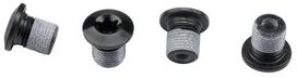 Priekinio dantračio tvirtinimo varžtas Shimano XT FC-M8000-2 M8x9 (4 vnt.)