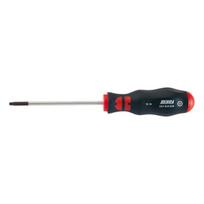 Atsuktuvas Torx Tx25 su anga, 100mm