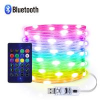 „Bluetooth“ programa Valdykite kalėdines lemputes lauke Naujųjų metų dekoras USB LED varinės vielos stygos lempa „Girland Fairy“ lemputės namams 5M-50LEDs