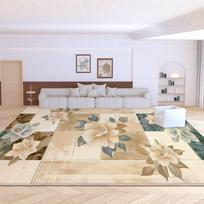 French Dirt-Resistant, Easy-Care Velvet Loop Carpet for Living Room & Bedroom - Waterproof, Large Area Rug 80*120 cm