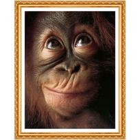 5D „pasidaryk pats“ apvalus deimantinis siuvinėjimas beždžionės beždžionės orangutanos šimpanzės beždžionės deimantinis paveikslas 20X30CM