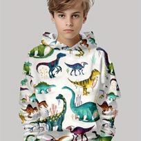 Vaikų drabužiai Berniukų Hoodies Ilgomis Rankovėmis 3D Dinosaurų Spaudinys Vaikų Pavasario Rudens Drabužiai Laisvalaikio Stilingi Lauko Berniukų Drabužiai Viršutiniai 100