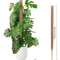 Žaliasis ridikas Kokoso palmės stiebas Stulpas Augalas Gėlių stovas Laipiojimo rėmas Monstera Atrama Kokoso pluošto samanų stulpas Apvyniotas stovas 30cm