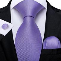 Naujas kaklaraiščių rinkinys vyrams Fahion Purple Paisley gėlių kaklaraištis Šilkiniai kaklaraiščiai Hanky ​​rankogalių segtukai vestuvių vakarėliui N-7144