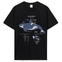 Juokinga Orca Anatomija Jūrų Biologija Laukinių Gyvūnų Paplūdimys T-shirt Grafinis t-shirt Streetwear Gimtadienio Dovana Vasaros T-shirt Drabužiai L