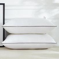 Prabangios penkių žvaigždučių viešbučio plunksnų aksominės pagalvės – nesulankstoma dovanų pora namams 48*74cm Single