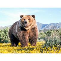 5D PASIDARYK pats pilnas apvalus deimantinis paveikslas Rudas lokys Siuvinėjimas Kryželiu 20X30CM