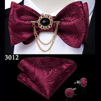 Gentlemen peteliškės kutų sagė Paisley šilko peteliškė Hanky ​​rankogalių segtukų rinkinys Vintažinio stiliaus vestuvėms LH-3012