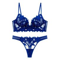 Seksualus prancūziškų nėrinių siuvinėjimas liemenėlės apatinio trikotažo komplektas moteriškas apatinio trikotažo komplektas Push Up plonas Bralette Deep V liemenėlės ir kelnaičių rinkinys S mėlyna