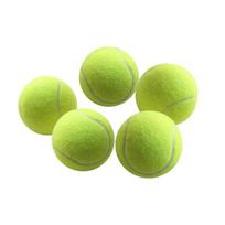 Interaktyvus teniso kamuoliukų tiekimo žaislas šuniui Single tennis ball 5