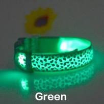 LED šuns antkaklis nuo pasimetimo, nailoninis šuns antkaklis, personalizuotas naminio gyvūno antkaklis Stonego mažiems, vidutiniams, dideliems naminiams gyvūnams S žalia