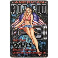 Vintažiniai skardiniai plakatai Sienų plakatai Plokštelė Seksualios moterys Geležies tapyba Dekoracija vyro urvui, kavinei, garažui, klubui, barui 20x30cm šviesiai rausvos spalvos