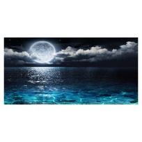 Mėnesio naktis drobės tapyba kraštovaizdžio plakatas ir spaudiniai pajūrio vaizdas sienos meno paveikslai svetainei namų dekoravimui Cuadros 20x40cm NoFrame