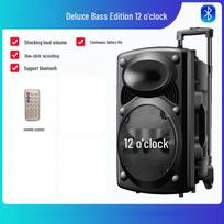 12 colių nešiojamasis Bluetooth karaoke garsiakalbis su mikrofonu Bluetooth standard