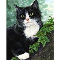 „Pasidaryk pats“ juoda katė 5D deimantų mozaikos rinkinys kalnų krištolo deimantų siuvinėjimas deimantų tapyba kryželiu 20X30CM