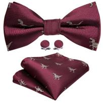 Vyriški animacinių filmų peteliškės dinozaurų snaigių kalėdinis raštas Cravat Hanky ​​rankogalių sąsagų komplektas vakarėlių kaklaraiščiai LH-0834