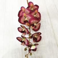 5 vnt. latekso drugelių orchidėjų gėlės 9 galvutės Dirbtinė Phalaenopsis orchidėja, skirta namų gėlių dekoravimui