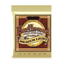 Ernie Ball Earthwood plono gabarito bronzinės akustinės gitaros stygos 2003 2004 2006 2008 GZW 2008 black