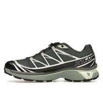 Salomon XT-6 GORE-TEX Urban Chic Lime Cream L47581300 EU 37 pilka spalva