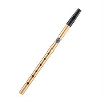 Airiška švilpynė Tin Whistle 6 skylučių C/D klavišo fleitos instrumentas Gold D Key