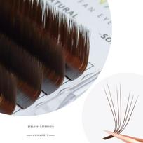 ANNAFRIS Colored Easy Fan Volume Blakstienų priauginimas Rožinė / Žalia / Ruda / Mėlyna / Violetinė Automatiškai Žydintys Dirbtinės Mink Graft Cilios makiažui 0.07mm C 8-15mm MIX ruda