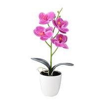Dirbtinė orchidėja Oranžiškai raudona Pink Plus White White Plus Rose D