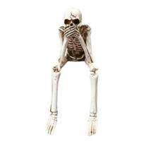 Helovino skeletų papuošalai Dervos kaukolės skeletas Kaulų figūrėlės Judantys sąnariai Sėdinčios statulėlės Realistiški namai C