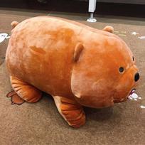 Mes Bare Bears Ledo meškiukas pliušiniai žaislai Mieli įdaryti lėlės Minkštos pagalvės Dovanos vaikams