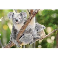 5D PASIDARYK pats deimantinė tapyba Gyvūnas Koala Cirkonio meno paveikslas Pilnas apskritas visas deimantinis siuvinėjimas Dovana Mozaika Namų dekoravimo rinkinys Full Round 20x30CM gray