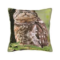 Meowl Meminis Katės Kvadratinės Pagalvės Užvalkalai Poliesteris Svetainė Smegenų Puvinio Pagalvės Užvalkalas Kūrybiška Dekoro Mėtoma Pagalvė 40*40 12x12Inch