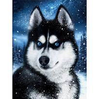 Pilnas 5D „pasidaryk pats“ deimantinis paveikslas „Husky in the Snow“ siuvinėjimas „Anime“ kryžminio siuvinėjimo rinkiniai namų dekoravimui, rankų darbo dovana Round 20x30cm