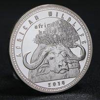 Afrikos Zambijos proginės monetos, dramblių sidabrinės monetos, laukinė gamta, Afrikos savana, buivolų proginės monetos, kalėdinė dovana, kojinės pripildymas