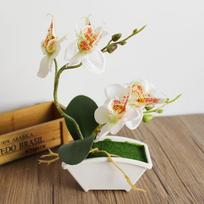 Dirbtinio šilko gėlės vazonuose, Phalaenopsis gėlės ir žalumynai Rankų darbo gėlės Motinos diena žalia