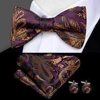 Hi-Tie Reguliuojamas peteliškės peteliškės peteliškės vyriškas šilko gėlių Paisley vyriškas klasikinis vestuvių vakarėlis Auksinis raudonas peteliškės rinkinys LH-2048