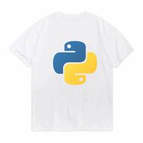 Vintage Python T Shirt Programmer Computer Software Developer Unisex Tee Shirt Programming Coder Shirts Coding Tee Tops Clothing L