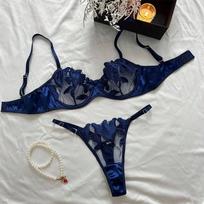 Sexy Lace Underwire Push Up apatinio trikotažo kontūro liemenėlės ir kelnaičių rinkiniai moterims, besirenkančioms krūtinės apatinius, siuvinėjimo bralette rinkinys 2024 m. S balta
