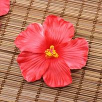 10 vnt. Hibisko gėlės Havajų vakarėlis Vasaros vakarėlis „Pasidaryk pats“ dekoracijos Dirbtinės gėlės Hula mergaitės dovanėlė plaukų puošmena gėlė raudona