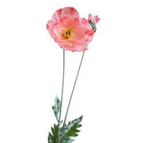 41.34 Netikras Dirbtinis Papaver Rhoeas Dirbtinis Colis Kukurūzų Aguonos Grindims rožinė