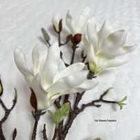 Didelė magnolijos dirbtinė gėlė Džiovintų gėlių menas Vienos stiebo papuošalas svetainės dekoravimui