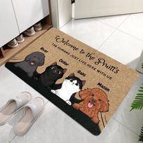 Gyvūnų tema įėjimo pasitikimo durų kilimėlis, personalizuotas katės šuns dizainas, vidaus namų dekoras, atsparus nešvarumams, sugeriantis kilimėlis gyvūnų mylėtojams 40x60cm