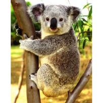Visas 5D „pasidaryk pats“ deimantinis paveikslas animacinis filmas Koala mozaikos siuvinėjimas kryželiu namų dekoras, rankų darbo dovana 25x30cm