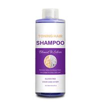 Purple Shampoo Profesionalus geltonos spalvos pašalinimas po dažymo plaukų priežiūros 500 ml baltos sidabrinės fiksuotos spalvos šampūnas 1pc