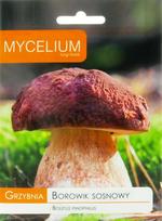 Pušyninis baravykas Boletus pinophilus